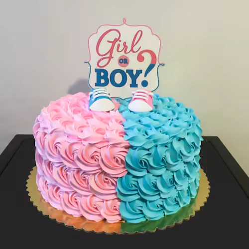 Girl or Boy Baby Shower Delice  Cake