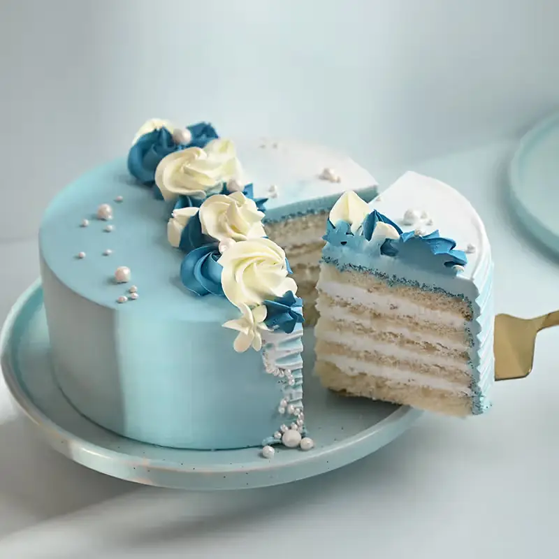 scrumptiousvanillacake9993570caEEE